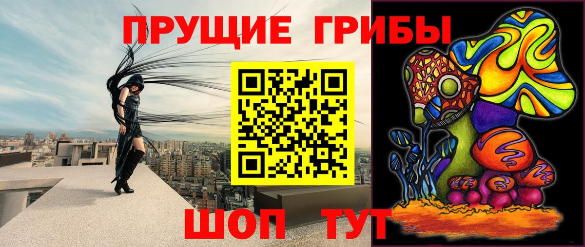 Галлюциногенные грибы Psilocybe  Вход с VPN  Тольятти  Псилоцибиновые грибы мицелий 