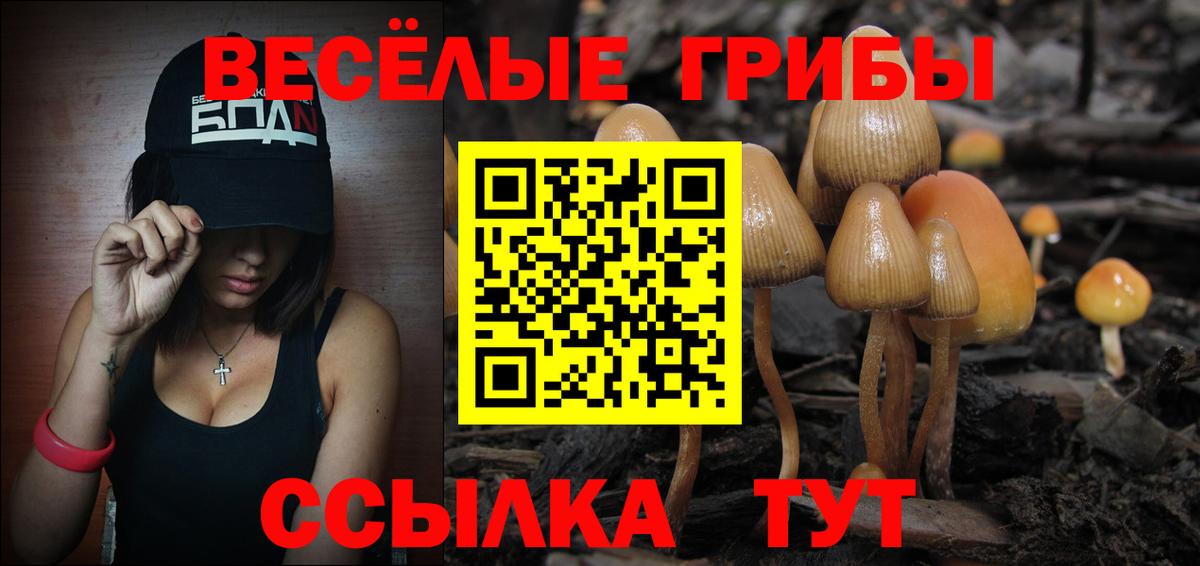 Псилоцибиновые грибы GOLDEN TEACHER Тольятти