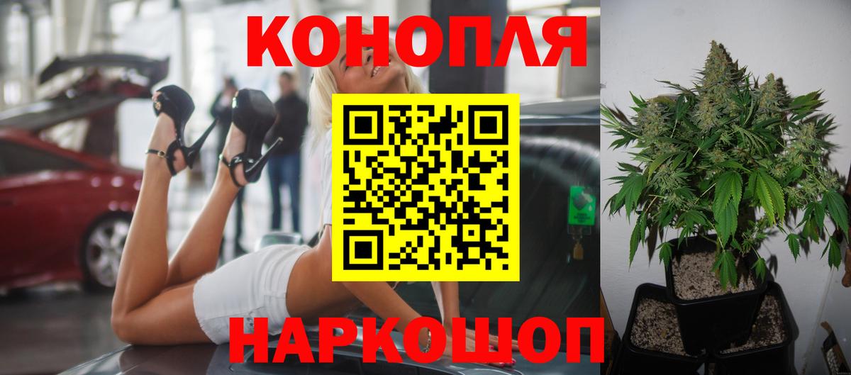 Бошки марихуана семена  Бошки марихуана ГИДРОПОН  Вход с VPN  Каннабис Bruce Banner  Марихуана сатива  Тольятти 