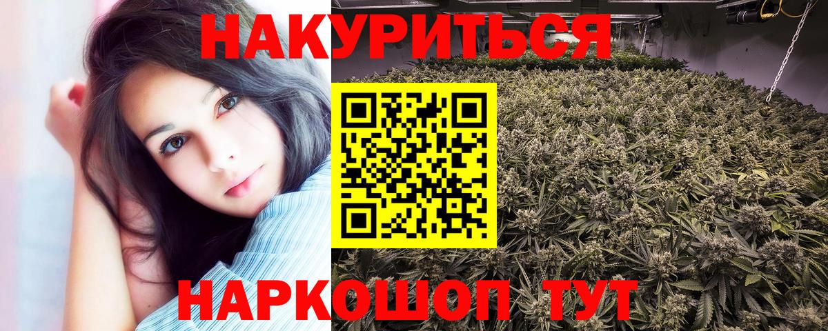 Конопля сатива Тольятти